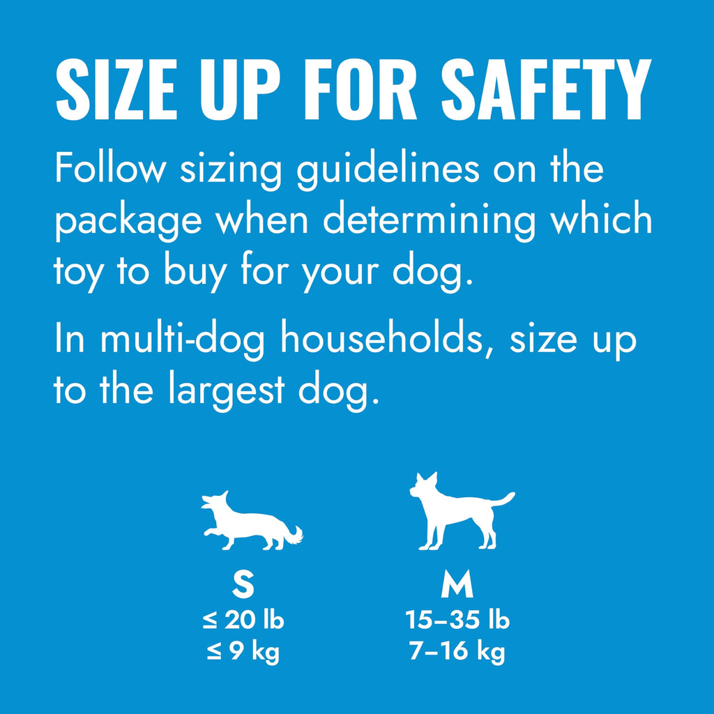 KONG Puppy Goodie Bone, Natural Rubber Chew, for Small Puppies, Blue