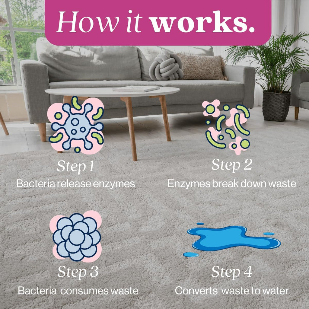 Eco Strong Cat Stain And Odor Remover | Enzyme Urine Odor Neutralizer - Stain Remover for Carpet, Litter Boxes, Bedding,