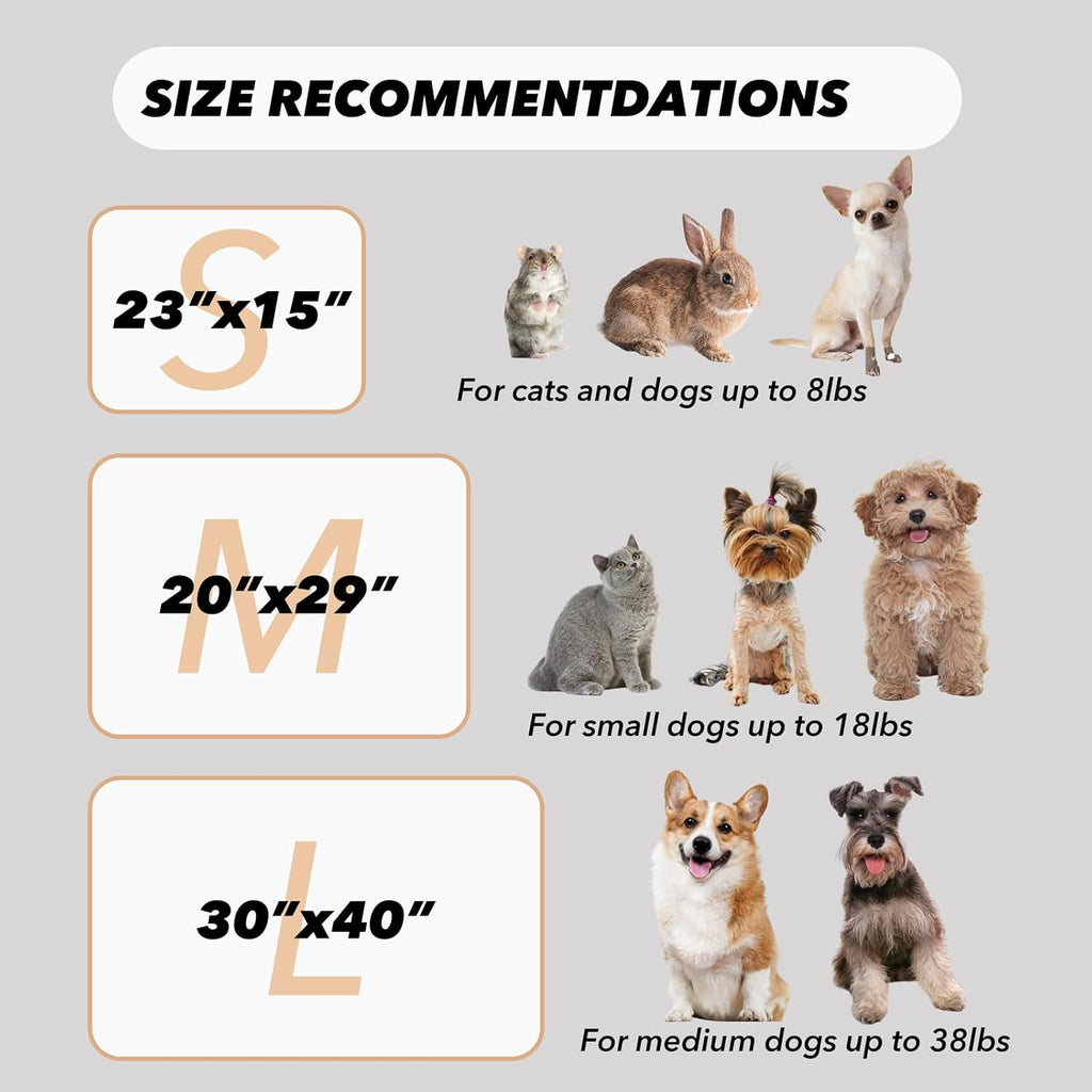 1 Pack 3 Puppy Blanket, Fleece Pet Small Dog Blanket for Puppy Cat, 23"x15"