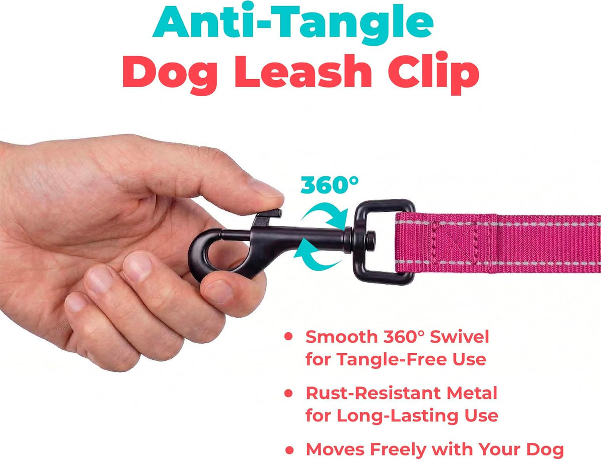 Best Pet Supplies Voyager Nylon Dog Leash - Fuchsia, Small