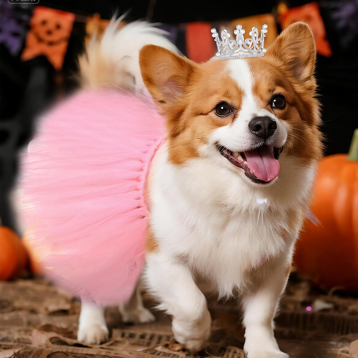2 Pcs Dog Tutu Dress with Pearl Crown for Small Medium Pet Cat Dog Halloween Costume Dress for Ballet Birthday Party Wed
