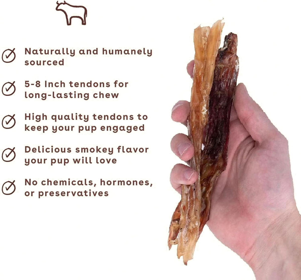 Pupford Beef Tendons for Dogs & Puppies, Teething Chew (Standard, 10 Count)