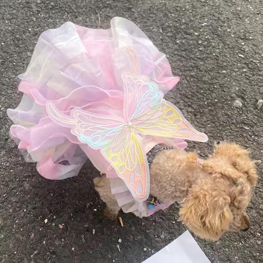 Butterfly Dog Costume - Pink Dress with Leash Ring for Small Dogs & Kittens - Lolita Puppy Clothes for Girl Dogs & Cats 