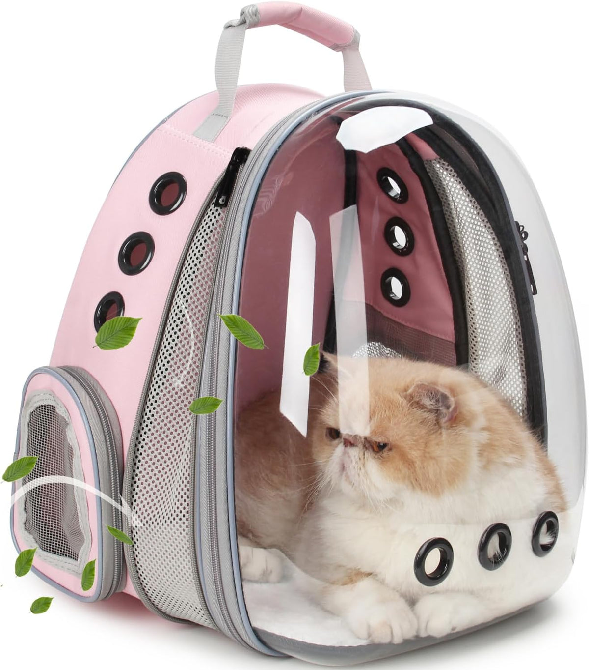 Lollimeow Cat Backpack Carrier, Pet Bubble Backpack, Supports up to 16 lbs