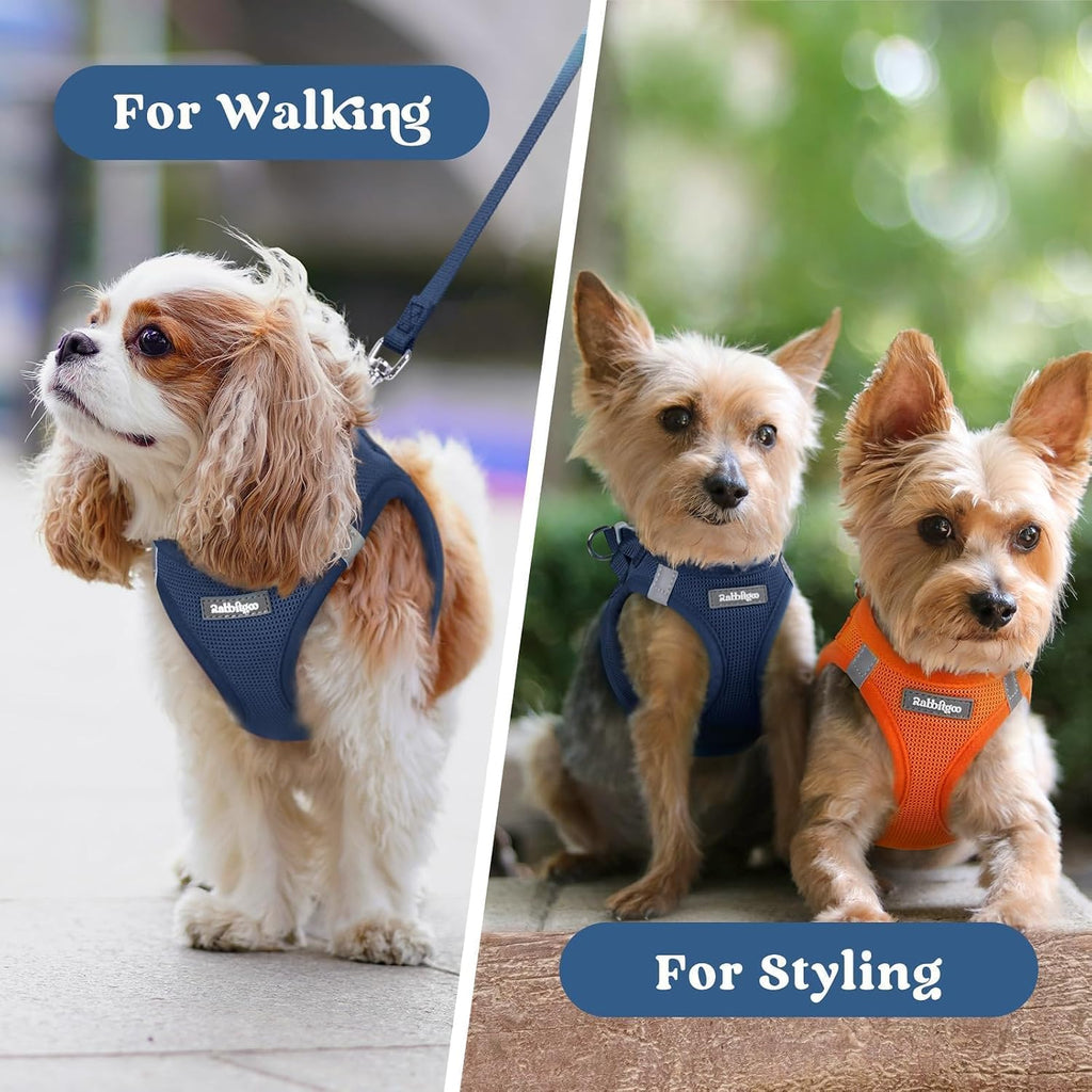 rabbitgoo Step-in Small Dog Harness, Puppy Vest for Small Sized Pet
