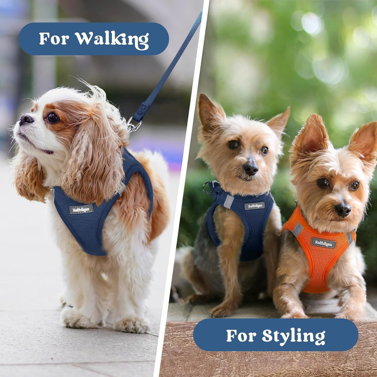 rabbitgoo Step-in Small Dog Harness, Puppy Vest for Small Sized Pet