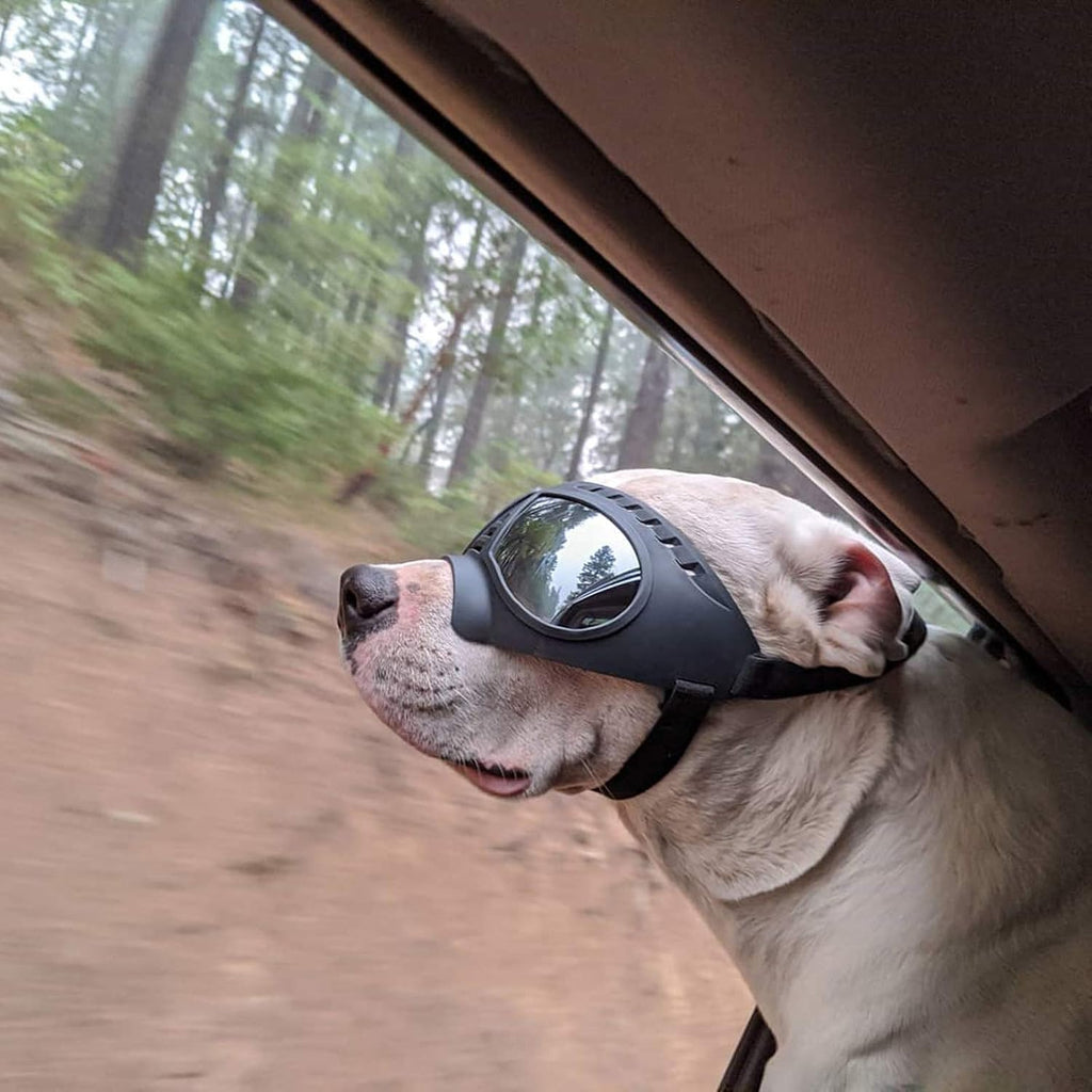 Dog Goggles for Large Dogs Eye Protection, Wide Snout & Soft Frame, UV Protection Dog Sunglasses Medium to Large Breed, 