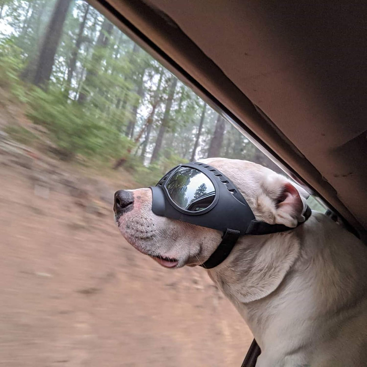 Dog Goggles for Large Dogs Eye Protection, Wide Snout & Soft Frame, UV Protection Dog Sunglasses Medium to Large Breed, 