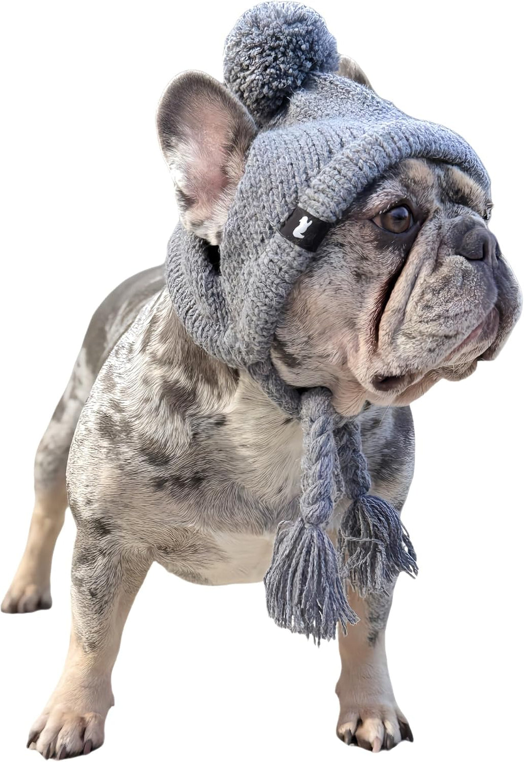 Cozy Ears Alpaca Blend Winter Dog Hat, Dog Beanie, Ear Holes, Beige, L