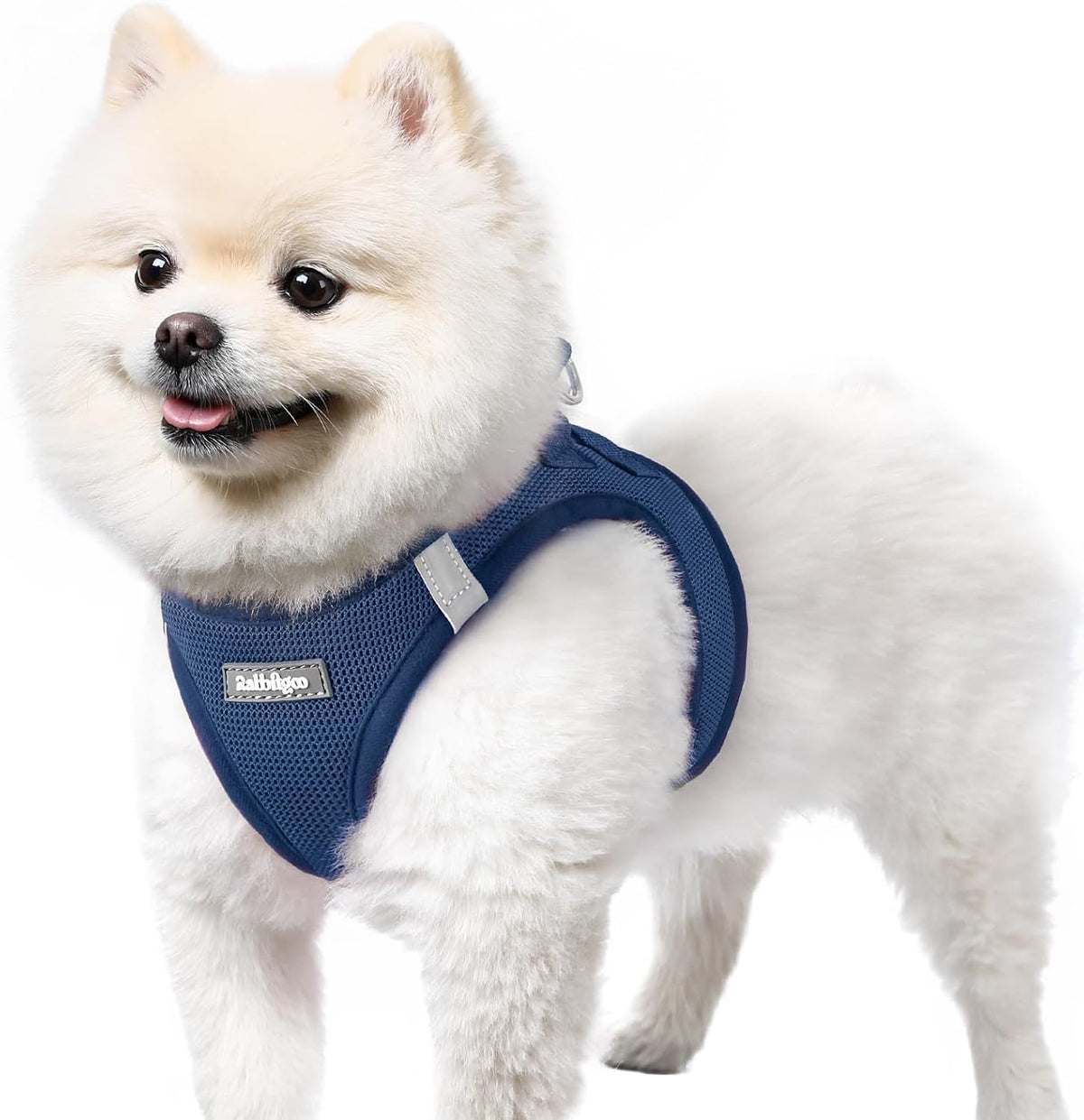 rabbitgoo Step-in Small Dog Harness, Puppy Vest for Small Sized Pet