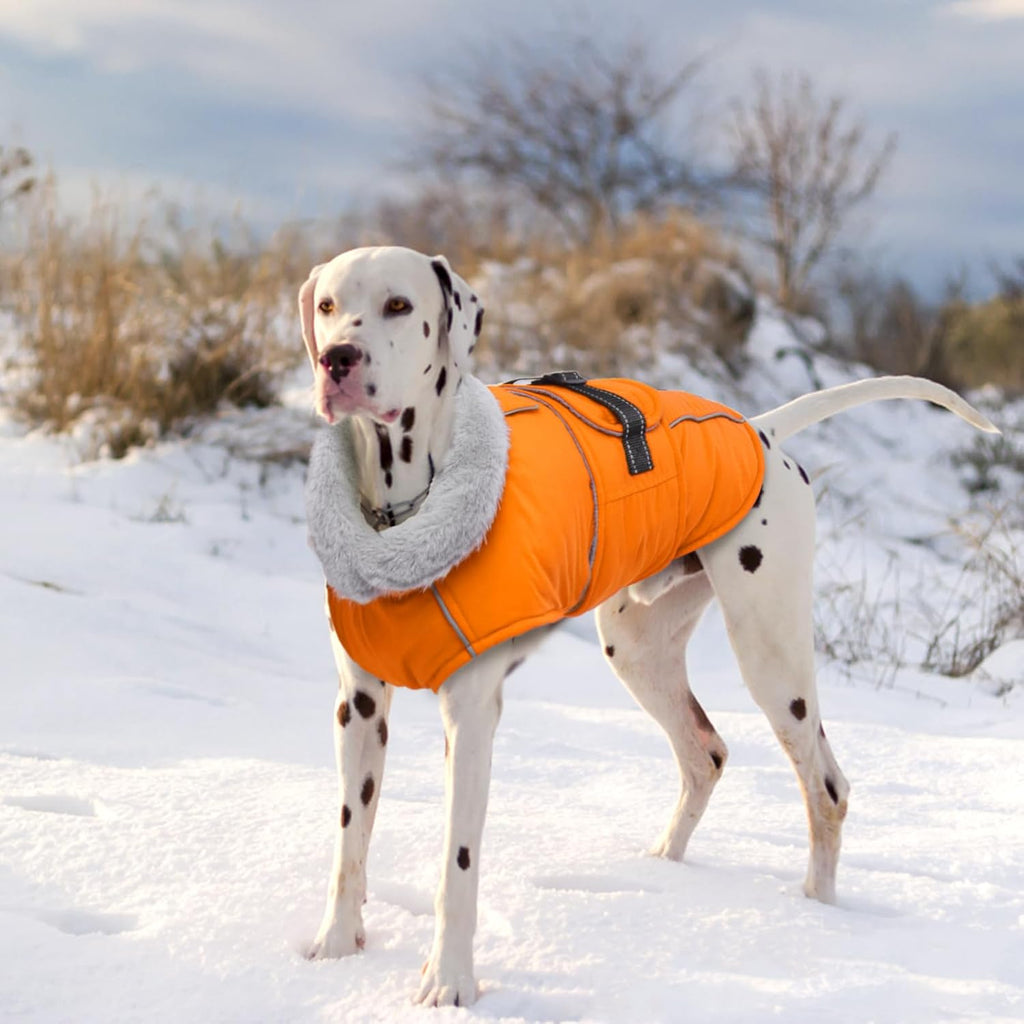 Dog Coat Waterproof Dog Jacket Fleece Vest with Adjustable Buckle