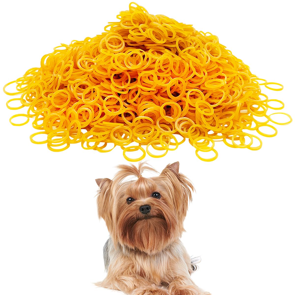 PET SHOW 1000pcs 10MM Dia. 100G/Pack Bulk Dog Rubber Bands for Hair Grooming DIY Hair Bows Top Knots for Puppies Cats Fa