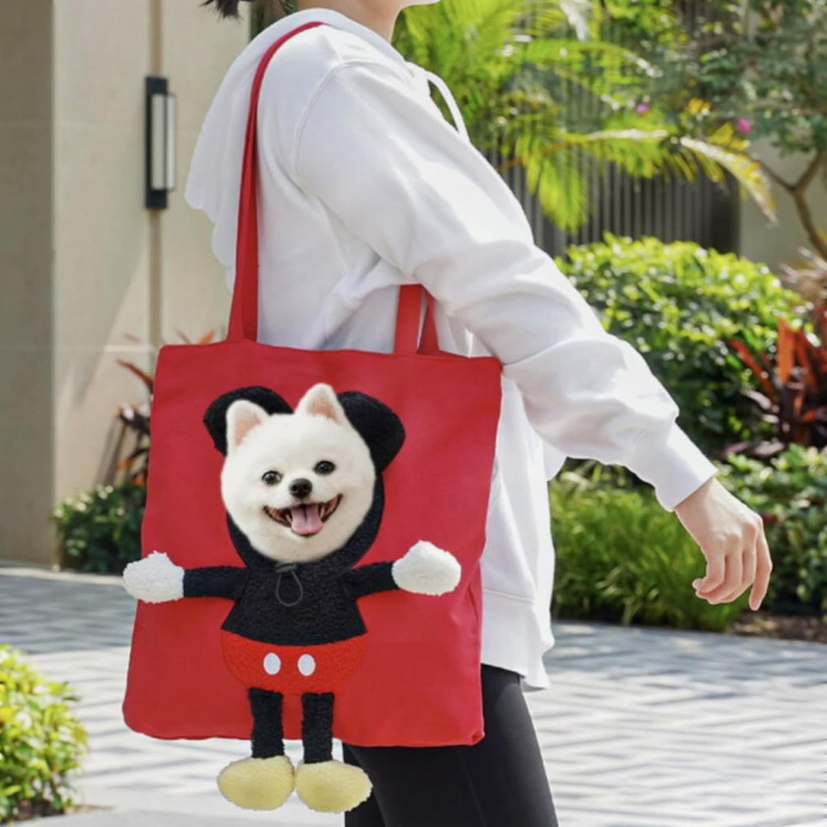 Paw Peek Bag, Pet Tote Carrier for Small Dog Cat