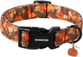 Fall Pumpkin Dog Collar- Design Fall Holiday Dog Collars Adjustable Halloween Pumpkin Sunflower Dog Collar for Small Med