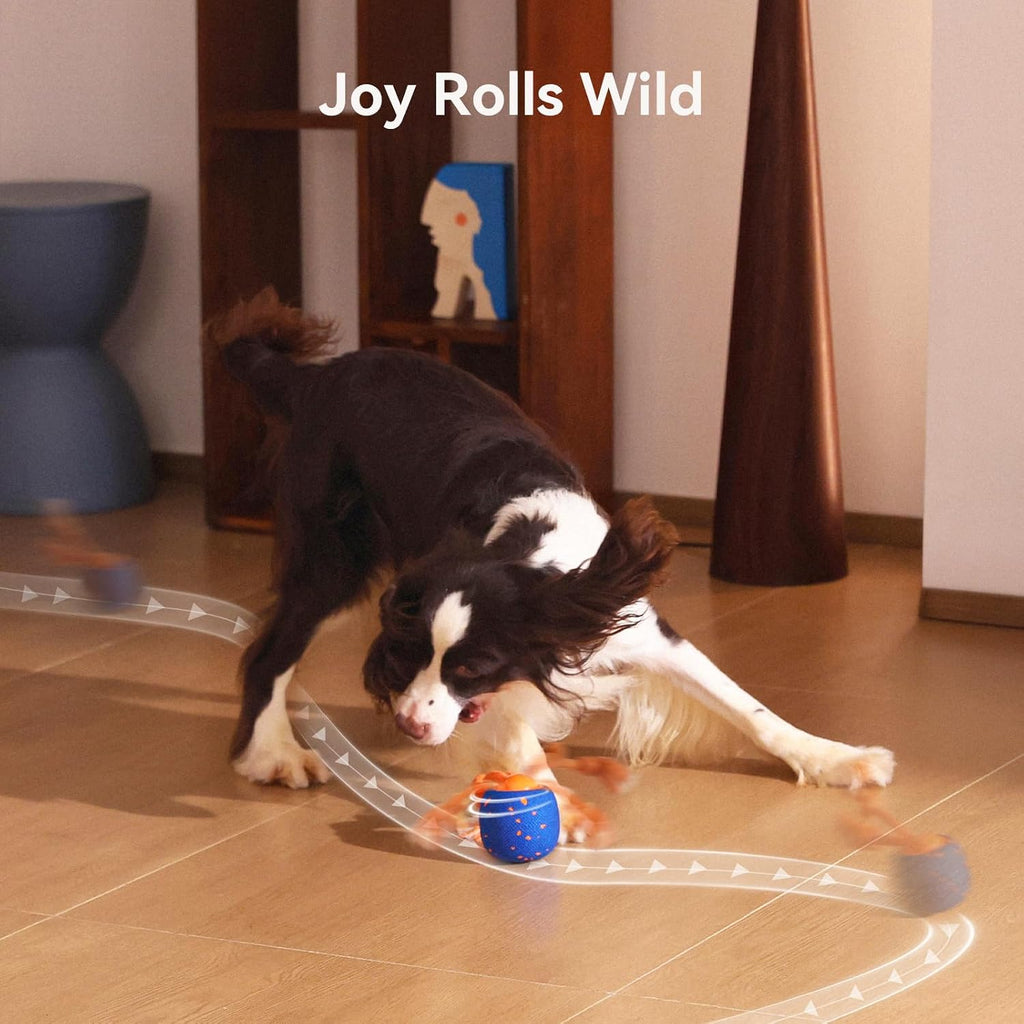 Cheerble Smart Interactive Dog Toy, Wicked Ball Rolly, Automatic Moving, Bouncing, Rotating, E-TPU Material, Active Roll