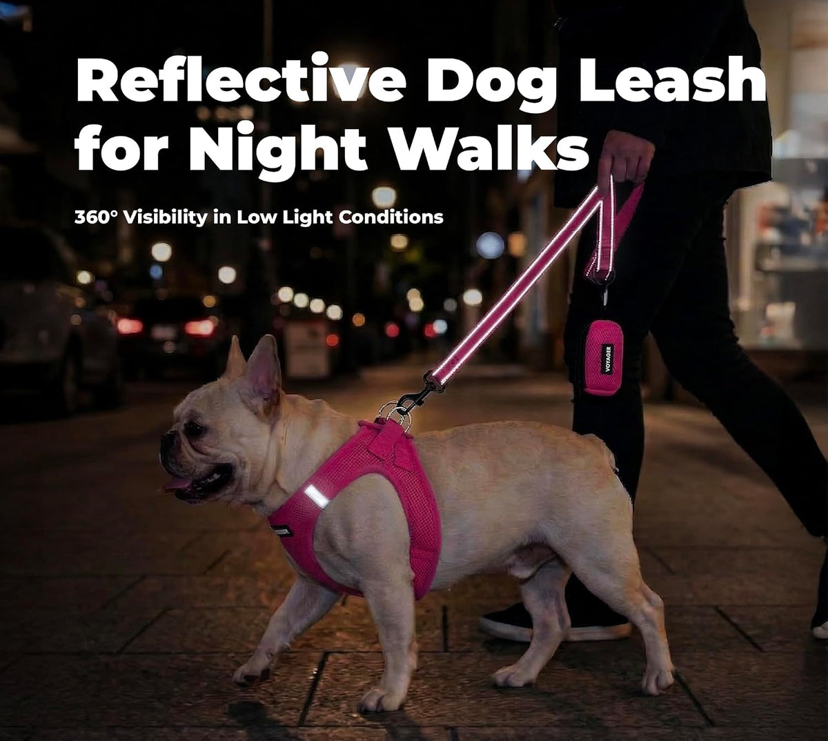 Best Pet Supplies Voyager Nylon Dog Leash - Fuchsia, Small