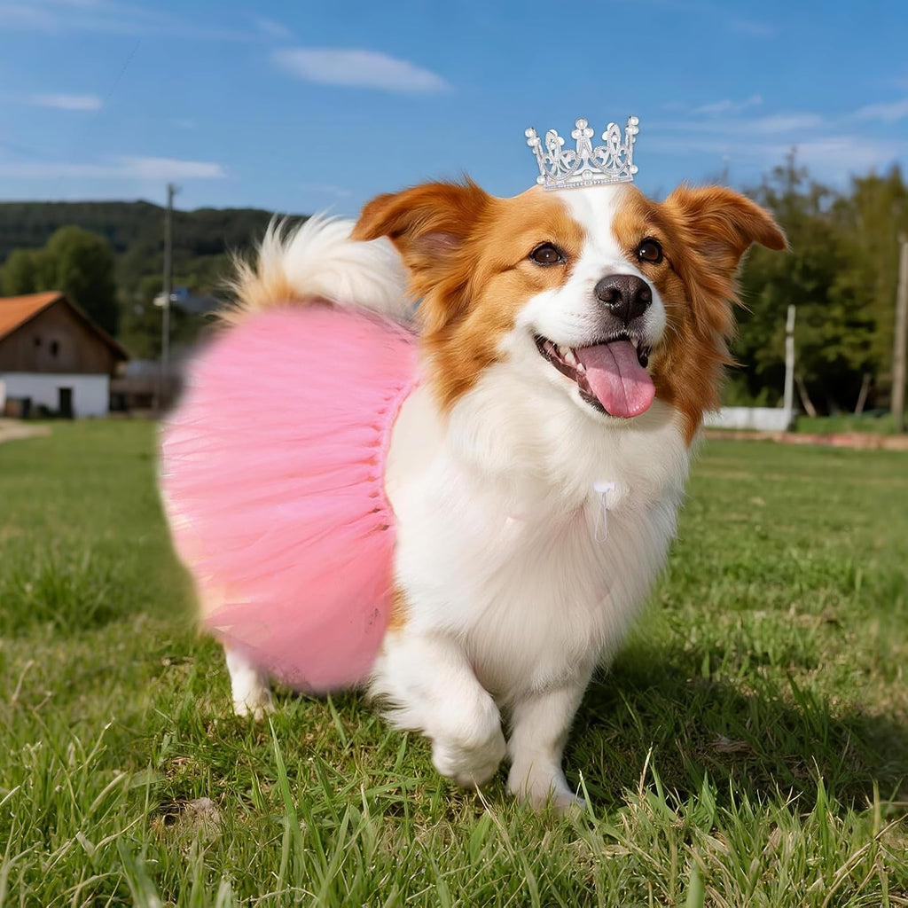 2 Pcs Dog Tutu Dress with Pearl Crown for Small Medium Pet Cat Dog Halloween Costume Dress for Ballet Birthday Party Wed