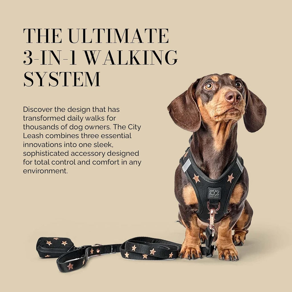 3-in-1 City Dog Leash - Rockstar, Adjustable Bungee Leash - L