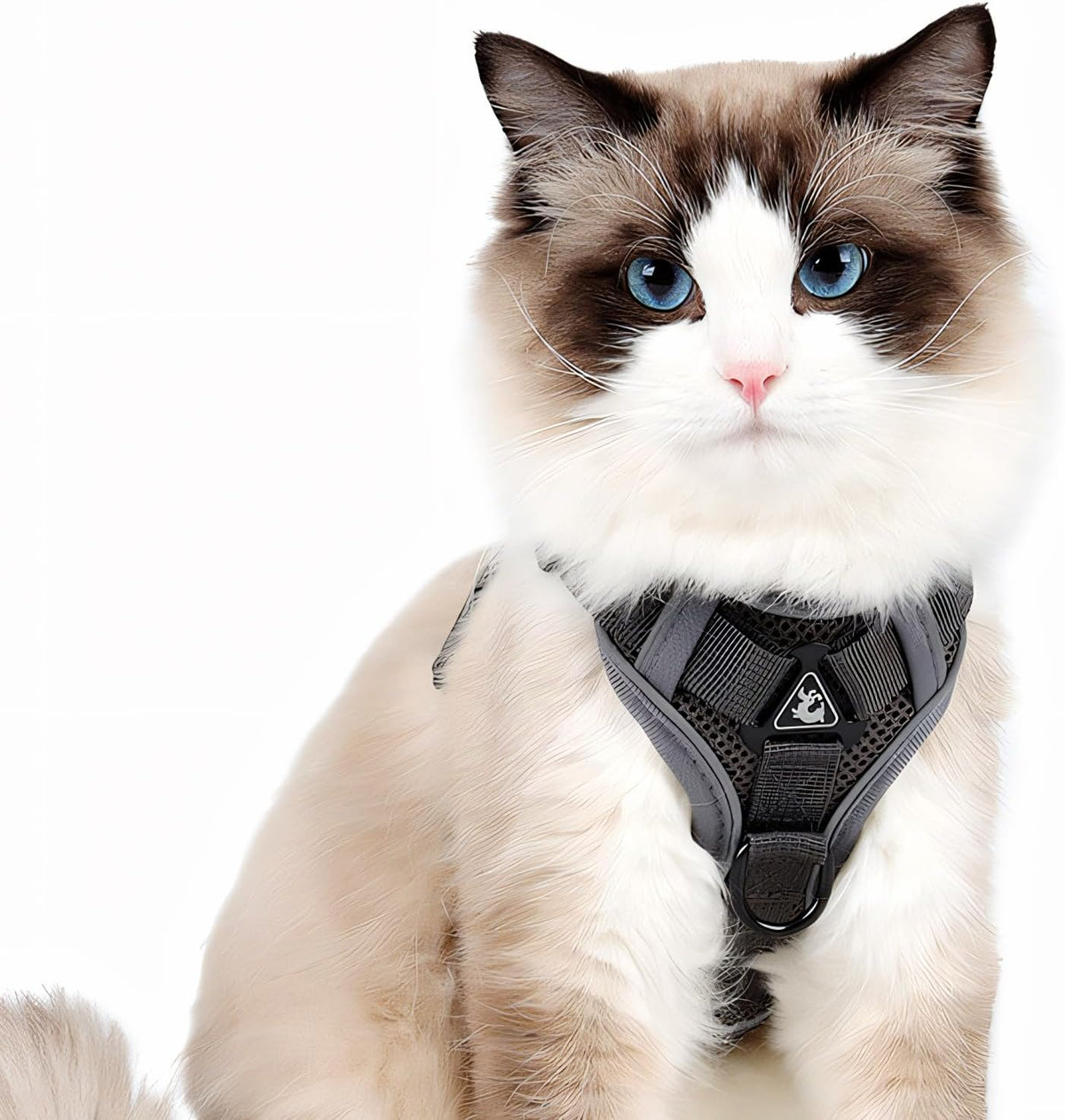 Cat Harness and Leash for Walking, Escape Proof Soft Adjustable Vest Harnesses for Cats (Emerald, M : Cat Weight 6.6-9.9