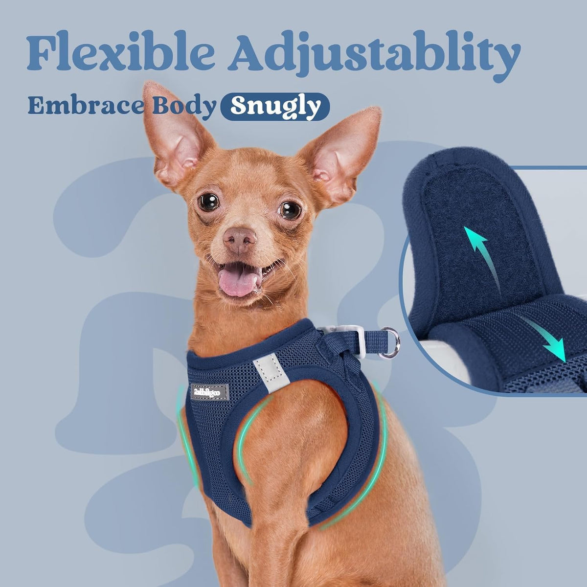 rabbitgoo Step-in Small Dog Harness, Puppy Vest for Small Sized Pet