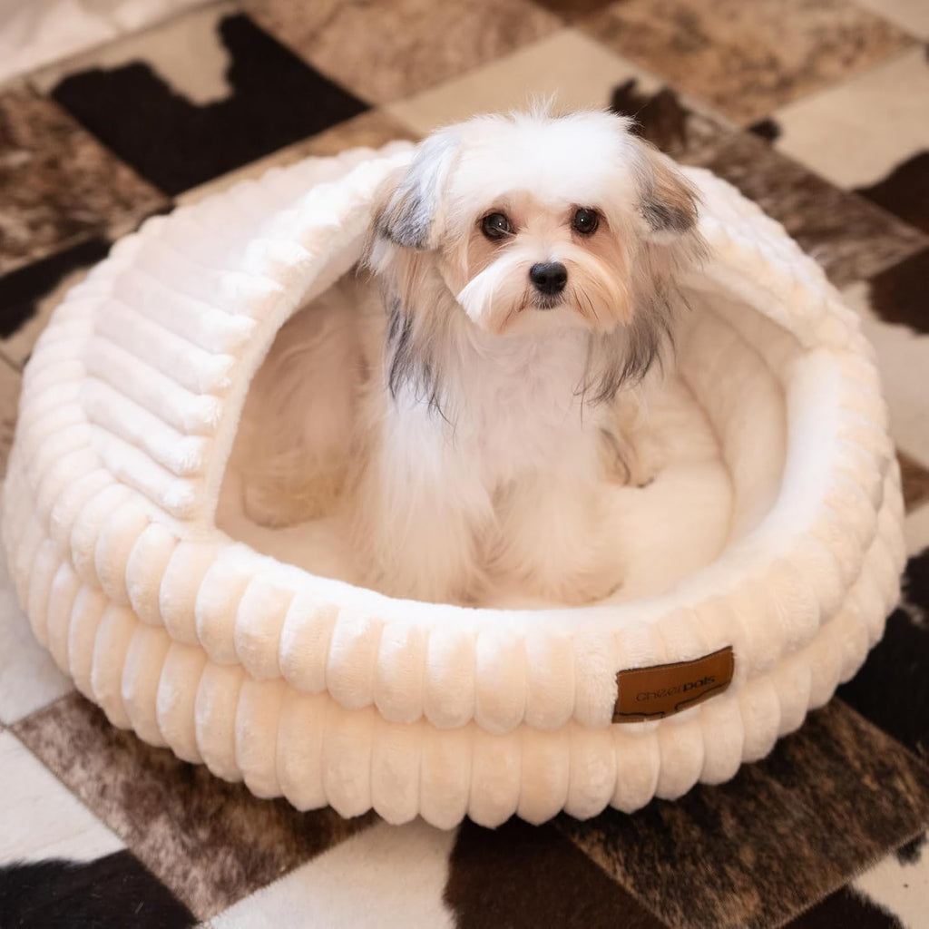CHEERPALS Cat Cave Bed for Indoor Cats Covered Hooded Pet Bed with Cushion