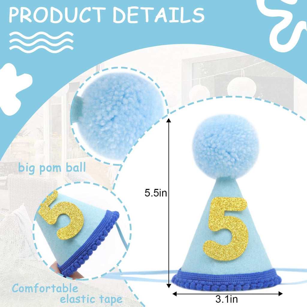 Pet Birthday Hat with Interchangeable Numbers 1-10 | Adjustable Pet Party Cone Hat for Dogs & Cats | Puppy Birthday Phot