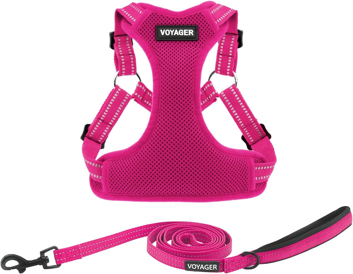 Voyager Step-in Flex Adjustable Dog Harness - Black, Small