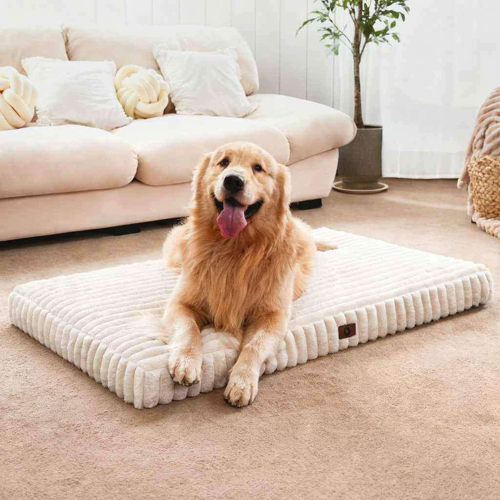 Cozila Dog Beds for Large Sized Dog, Orthopedic Foam with Waterproof Lining