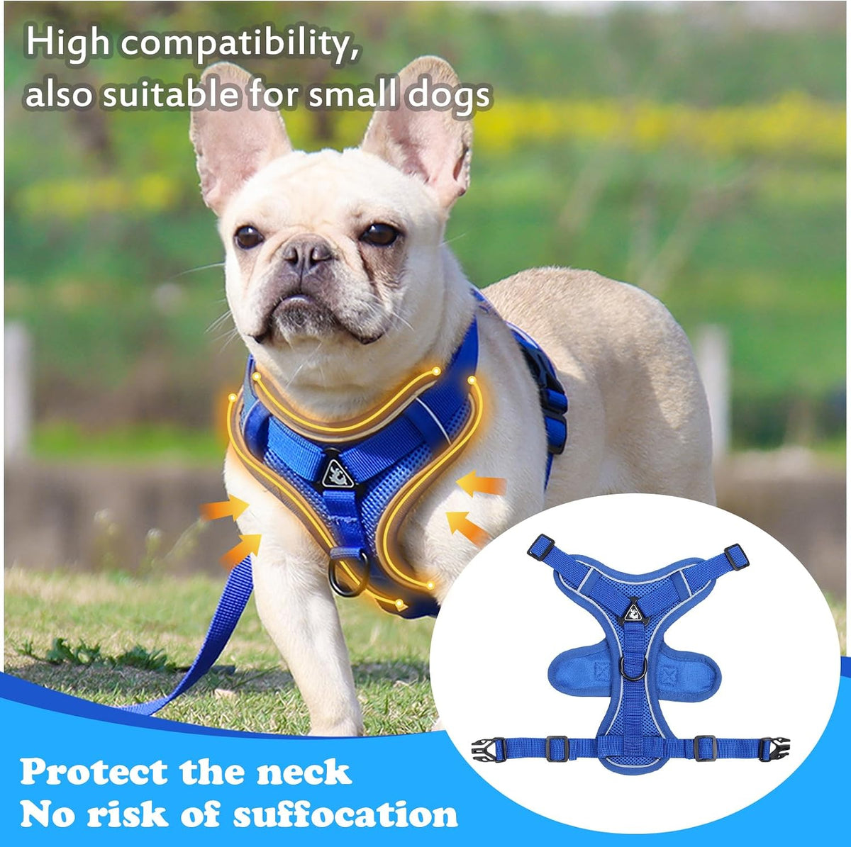 XL Cat Harness Escape Proof for Heavy Cats Adjustable for Extra Large Cats