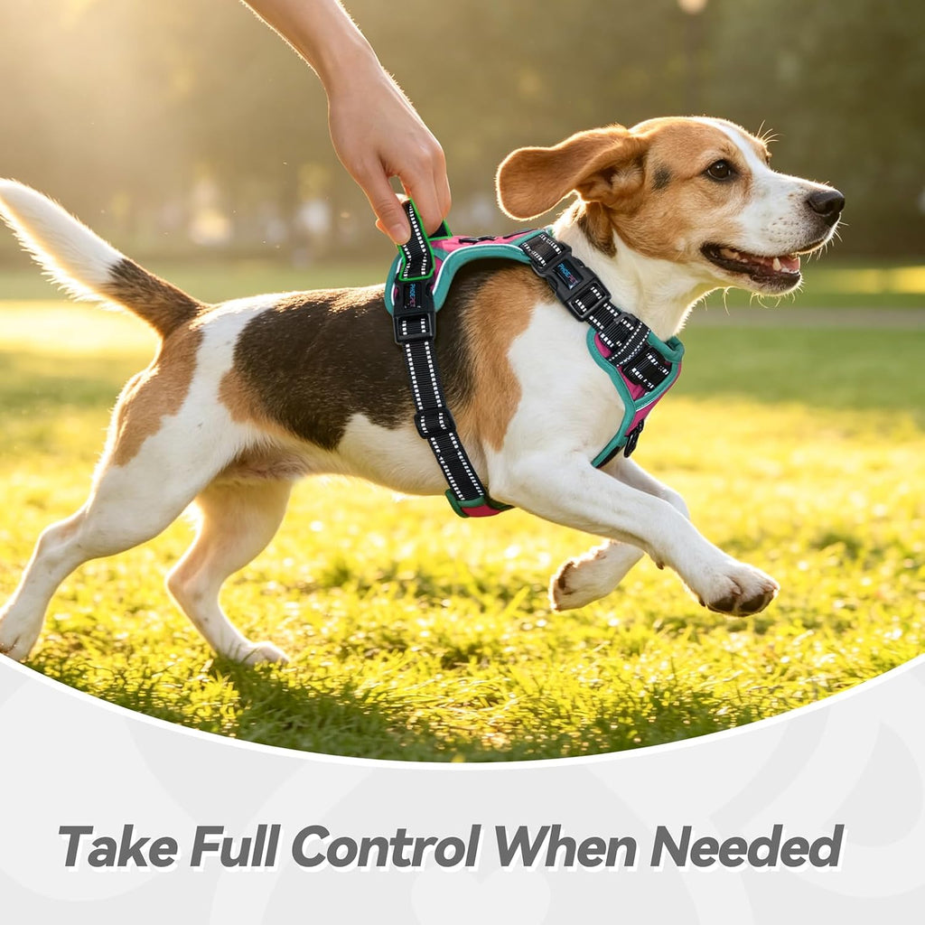 PHOEPET Upgraded No Pull Dog Harness, Reflective Adjustable Vest