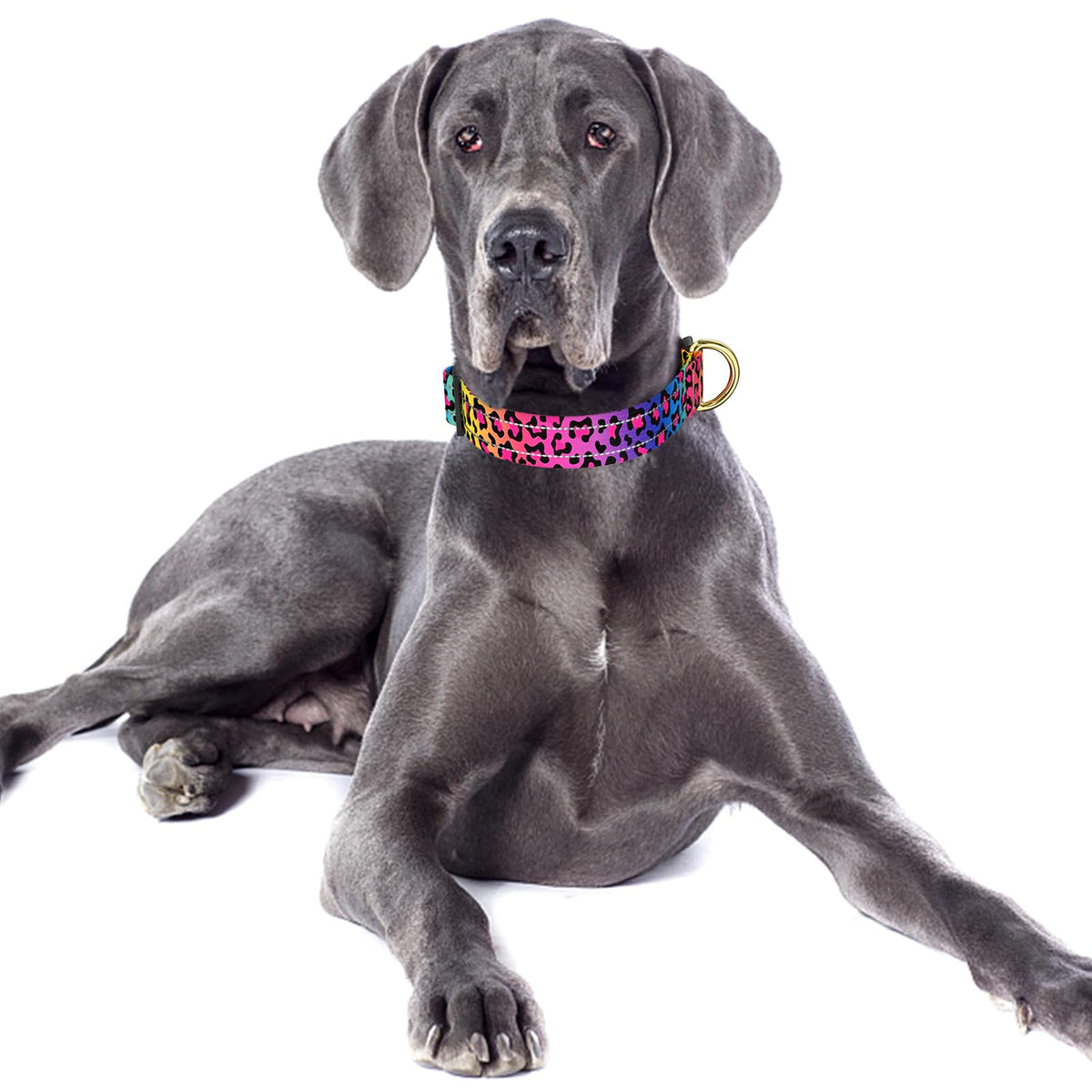 TMOODEL Reflective Nylon Dog Collar for Large Dogs, Neon Leopard, L