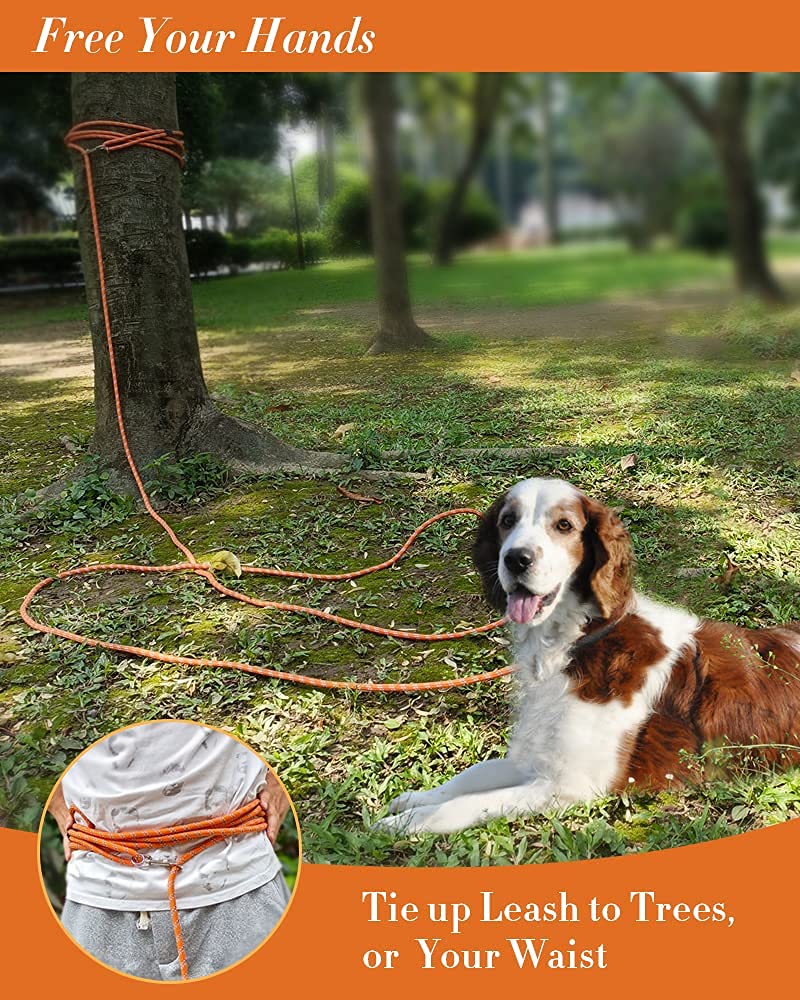 Long Dog Leash for Training 10FT/16FT/20FT/30FT/50FT/100FT, Reflective Tie Out, Heavy Duty Dog Lead for Large, Medium & Small Dogs - Outside Walking, Playing, Camping, Yard
