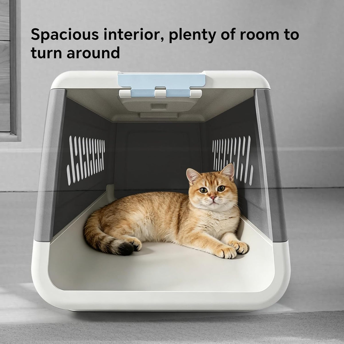 Airline Approved Hard Pet Carrier for Cats & Small Dogs – 20" Travel Crate with Metal Front Door, Top Handle, Secure Loc