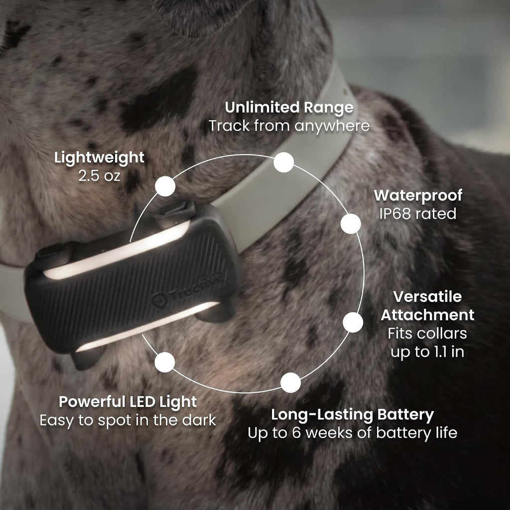 Tractive XL Smart Dog GPS Tracker | Live Pet Tracker with Virtual Fence | Vital Signs Monitoring of Heart & Respiratory 
