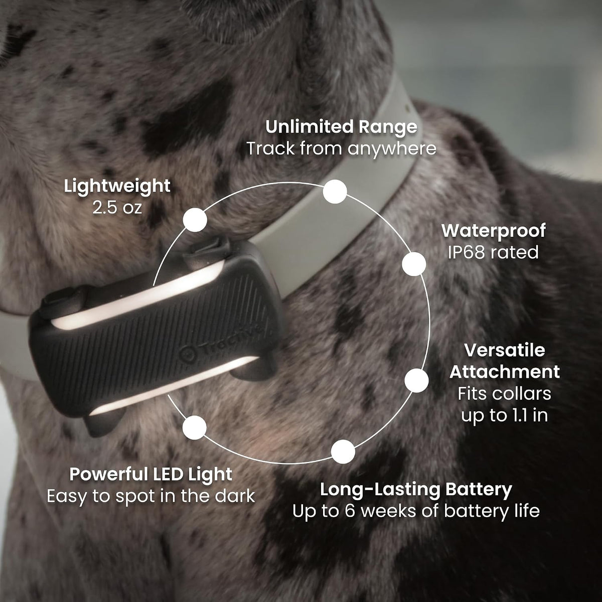 Tractive XL Smart Dog GPS Tracker | Live Pet Tracker with Virtual Fence | Vital Signs Monitoring of Heart & Respiratory 