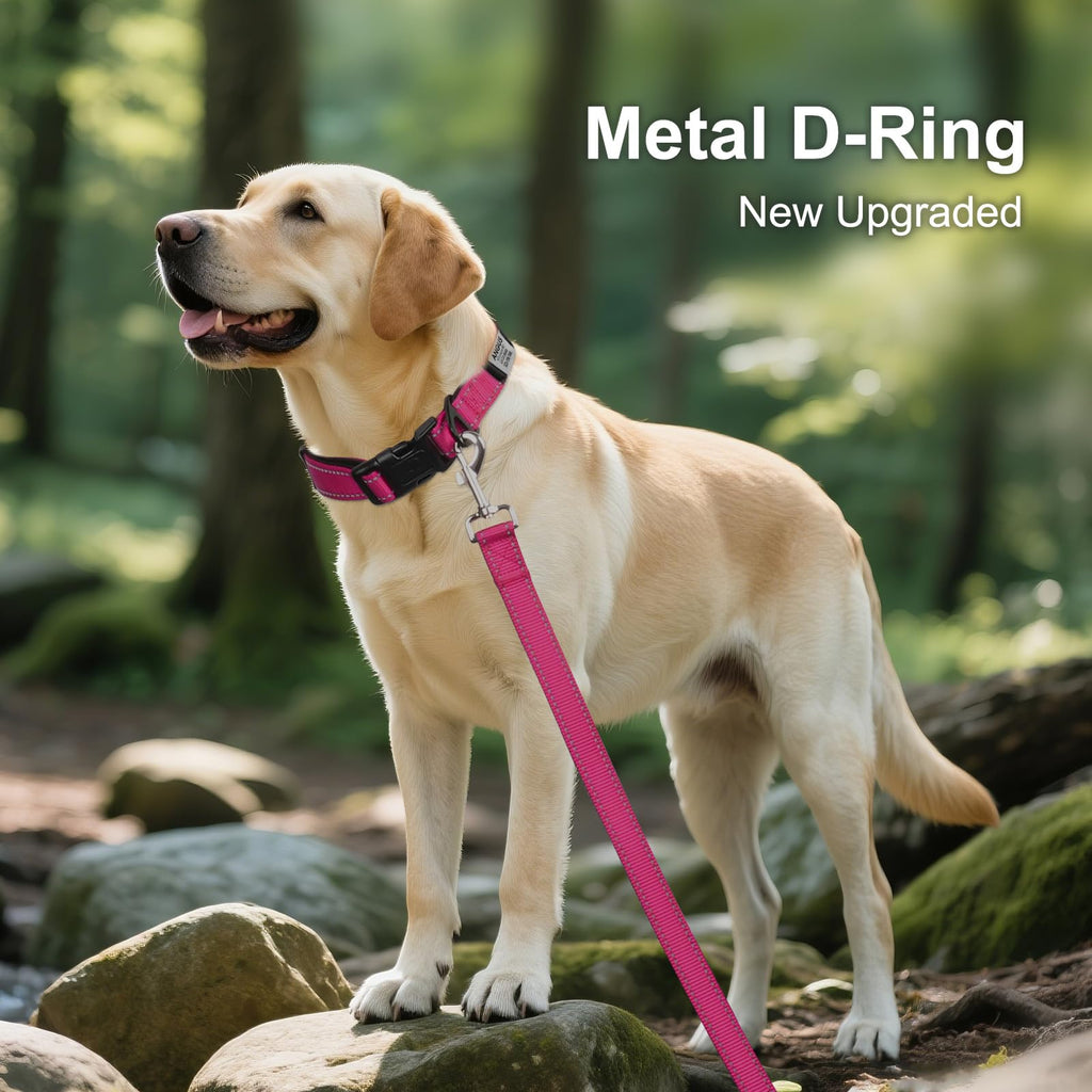 Joytale Personalized Dog Collar with Name Plate Built-in for Large Dogs