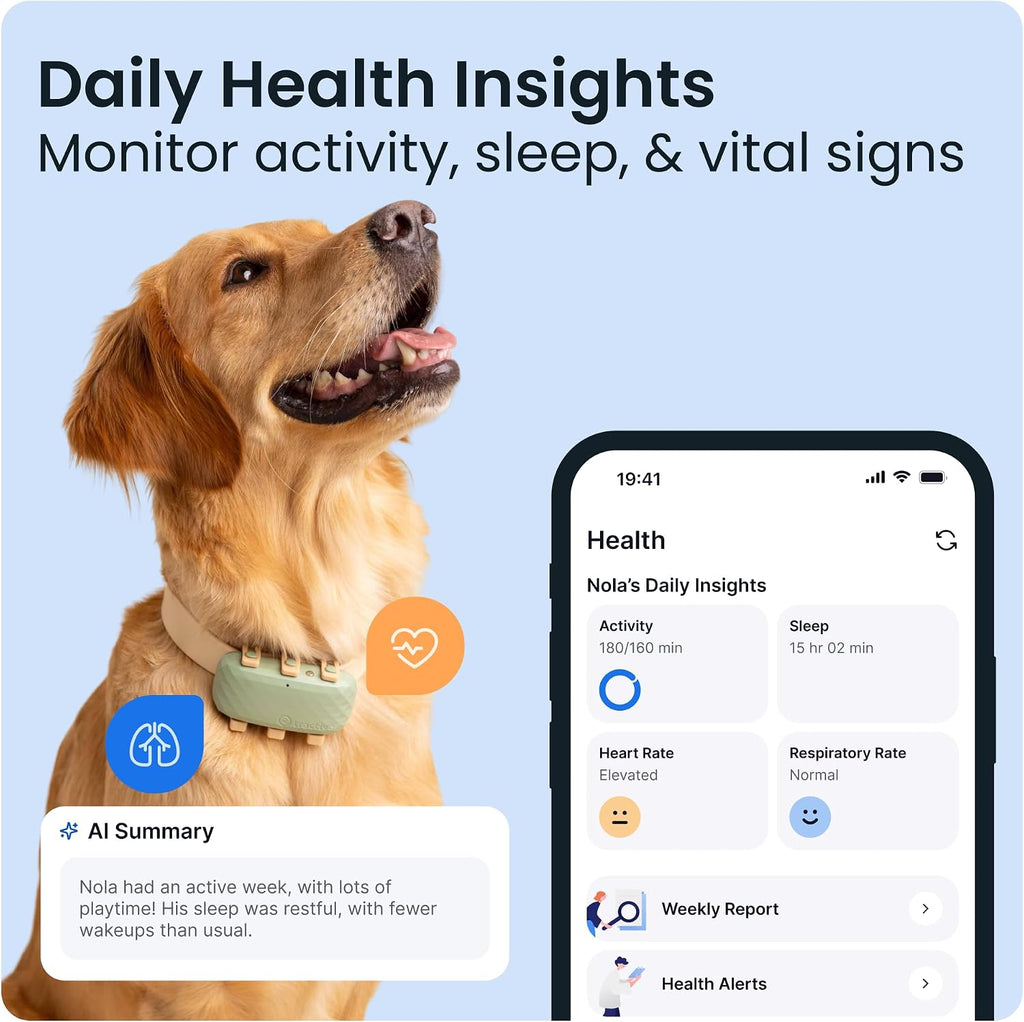 Tractive XL Smart Dog GPS Tracker | Live Pet Tracker with Virtual Fence | Vital Signs Monitoring of Heart & Respiratory 