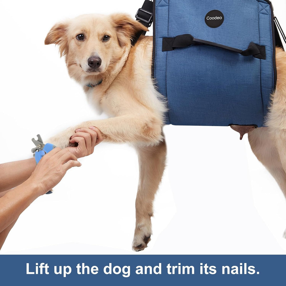 COODEO Dog Carry Sling, Emergency Backpack Pet Legs Support & Rehabilitation Dog Lift Harness for Nail Trimming, Dog Car