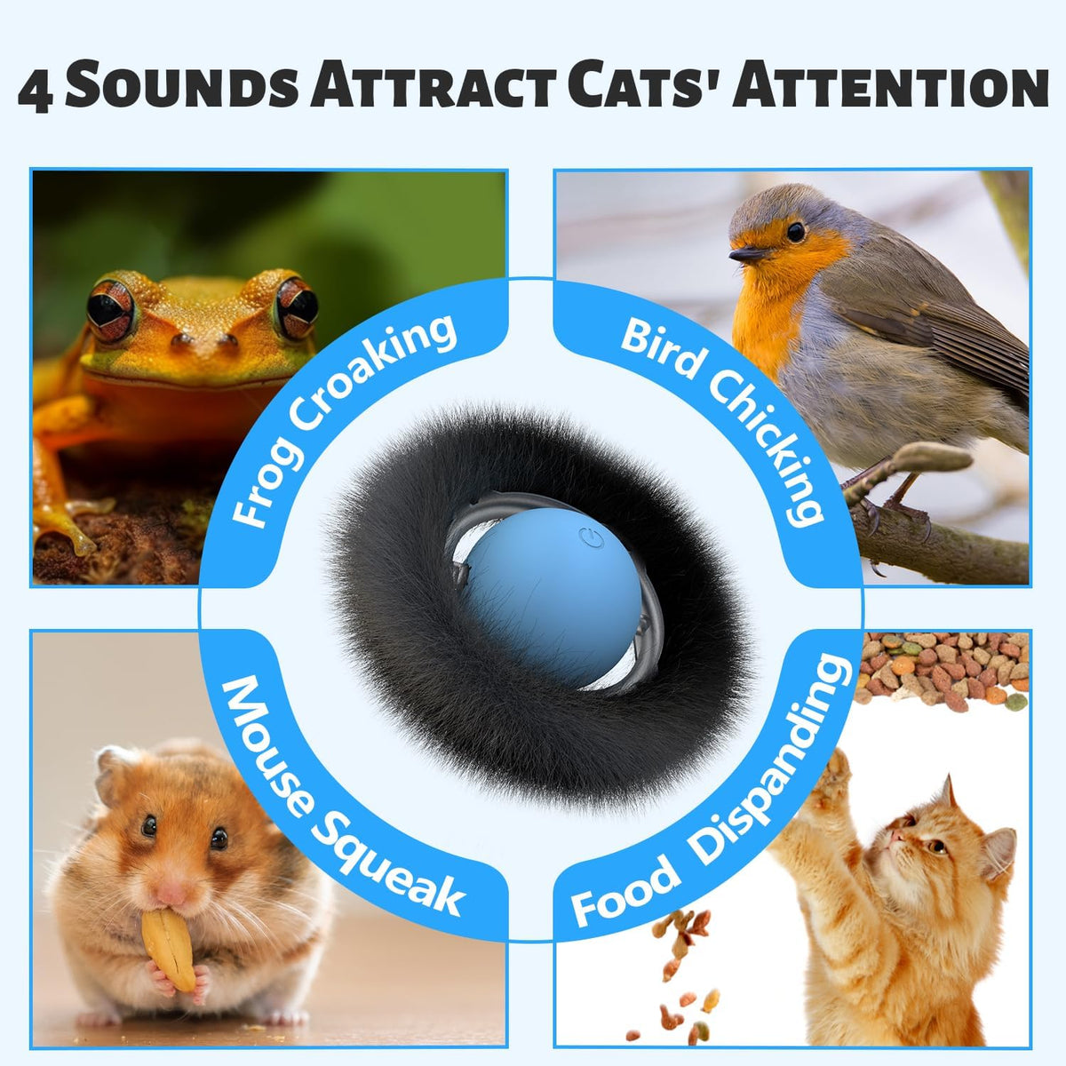 ORSDA Cat Toys, Interactive Fast Rolling Ball in Pouch, Hide and Seek for Indoor Cats, Motion Chirping Activated Moving 