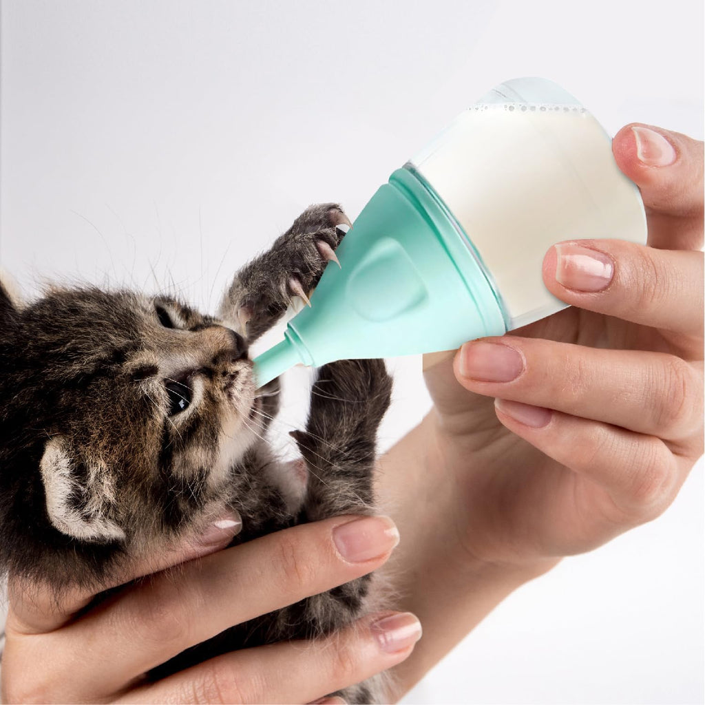 RockTech Ergonomic Kitten Bottle Feeding kit, Puppy Bottles for Nursing Puppy Milk -40ml Anti-Choking Slow Flow Nursing 
