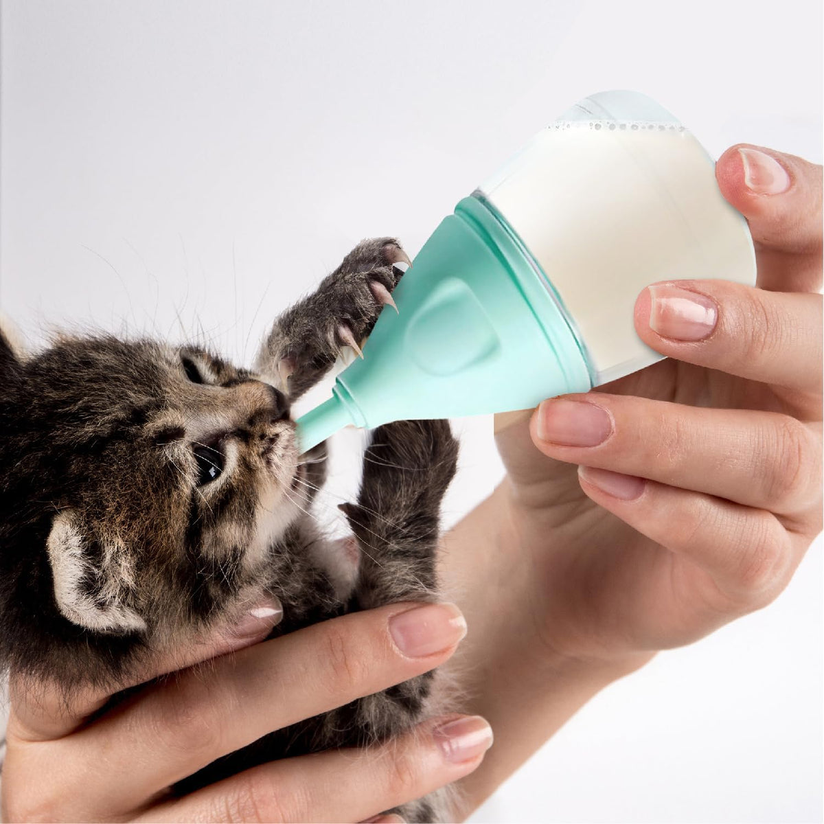 RockTech Ergonomic Kitten Bottle Feeding kit, Puppy Bottles for Nursing Puppy Milk -40ml Anti-Choking Slow Flow Nursing 