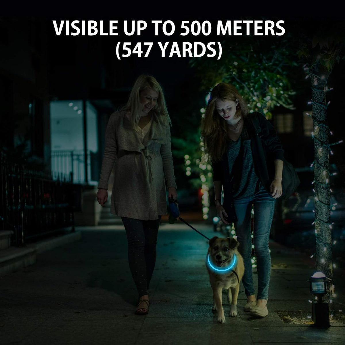 2-Pack LED Dog Collar, Light Up Dog Collars,Rechargeable Dog Lights for Night Walking，Universal, Reusable Safety Necklac