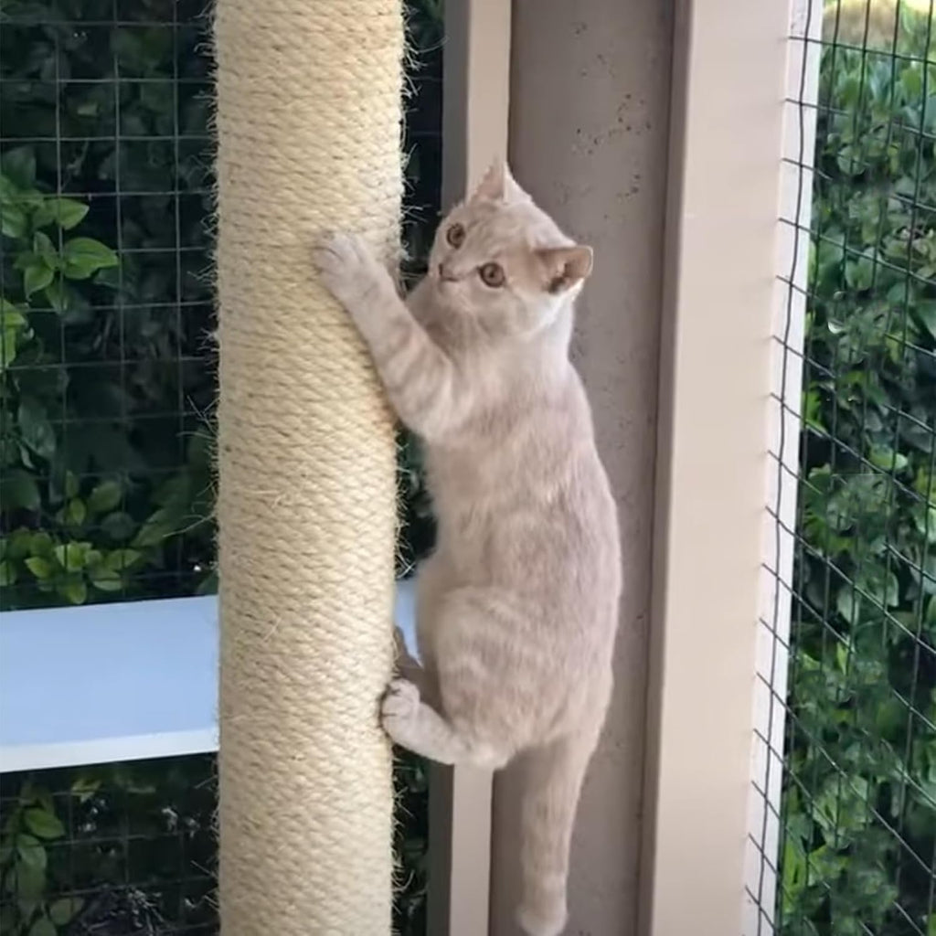 164 Feet Sisal Rope for Cat Tree & Scratching Post Replacement