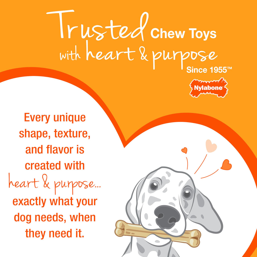 Nylabone Power Chew Original Bone Dog Chew Toys, Small, 3 Count