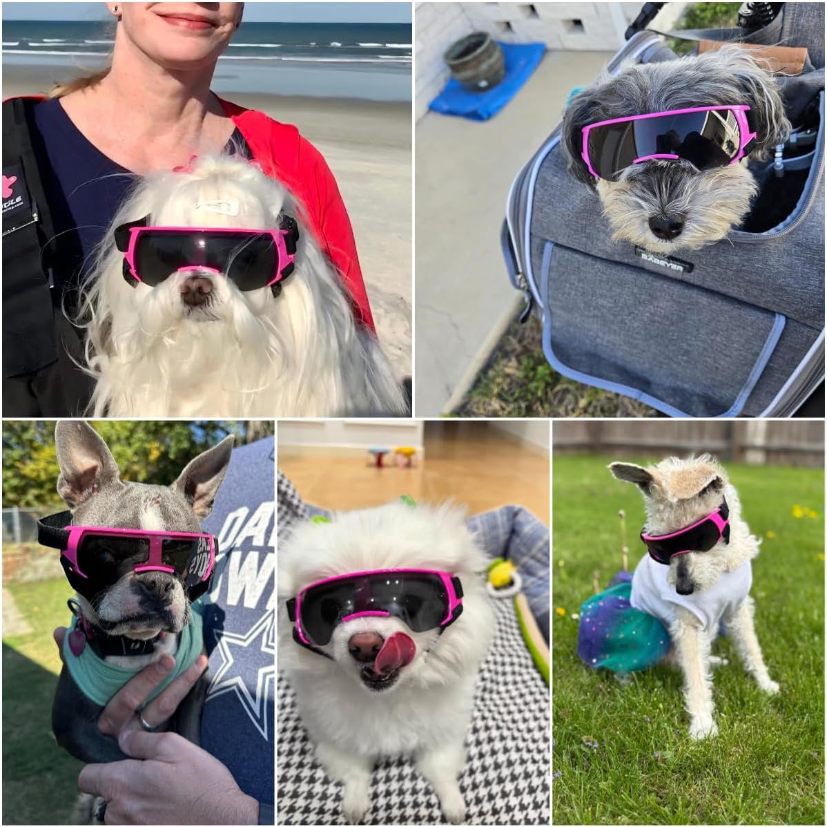 Futuristic Dog Goggles for Small Breed, Tech-Style Pet Eye Glasses, Anti-Fog UV Protection Windproof Dog Sunglasses with