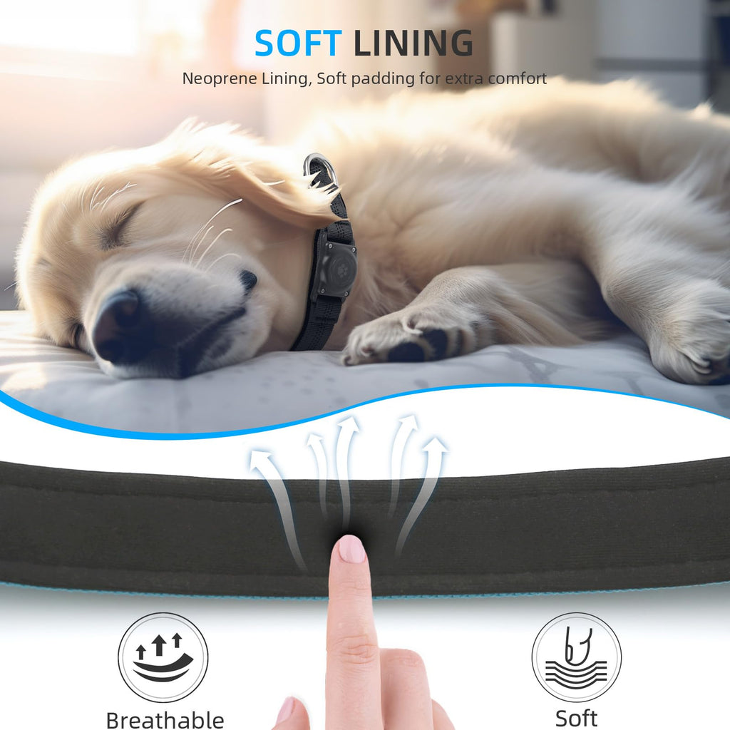 Upgrade Dog Collar with AirTag Holder, IP68 Waterproof, Blue, L