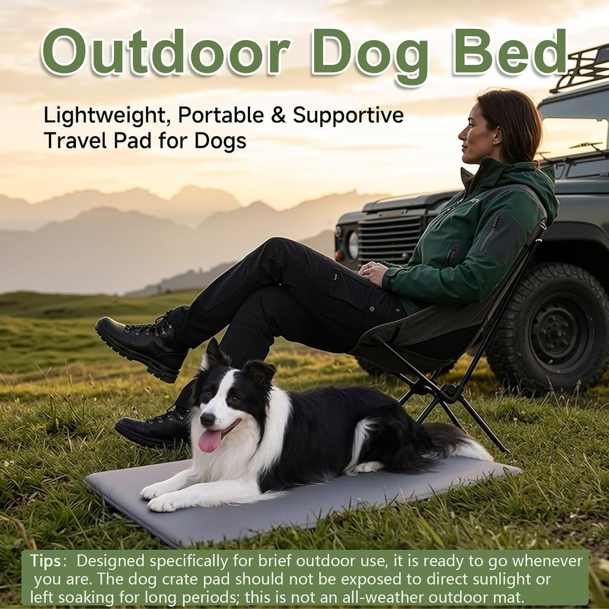 Outdoor Dog Crate Pad Bed, Reversible Waterproof Wipeable Kennel Mat, 35x22