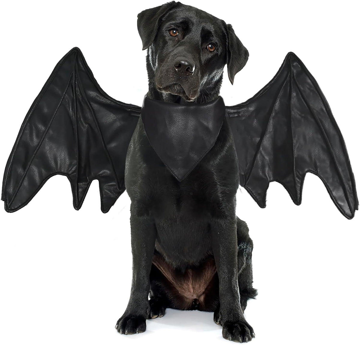 Funny Pet Reindeer Moose Costumes for Dog, Cute Furry Pet Wig for Halloween Christmas, Pet Clothing Accessories