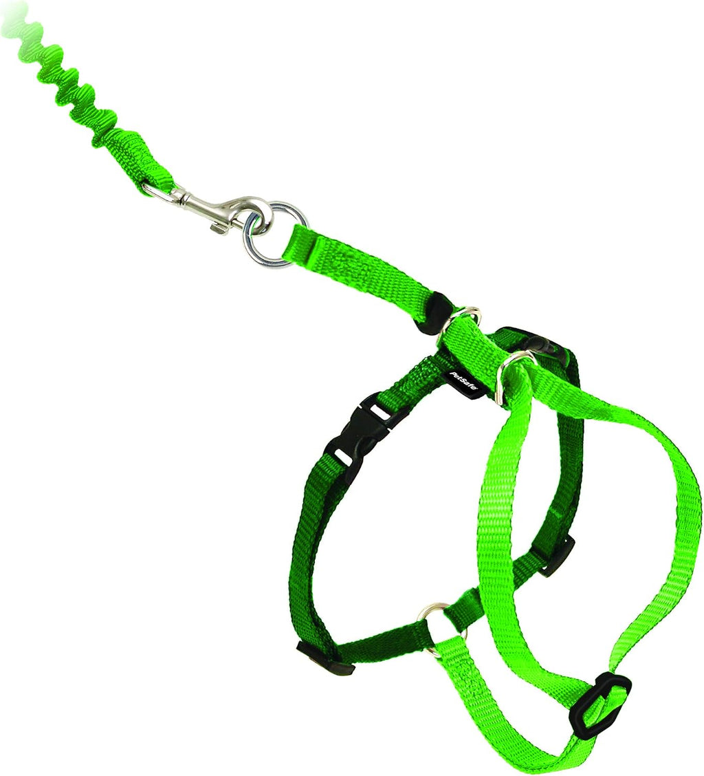 PetSafe Come With Me Kitty Harness and Bungee Leash, Harness for Cats, Medium, Black/Silver, CWMK-M-BLK
