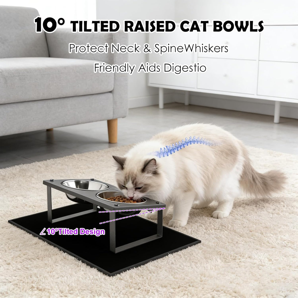 Elevated Cat Bowls with Splash Proof Mat for Kitten Puppy, 10° Tilted Raised Cat Bowl Stand Anti-Vomiting, 2 Wide Shallo